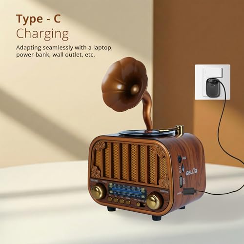 Image of iBELL Rhythm 540 Vintage Bluetooth Speaker with AM /FM /SW Radio | 3 Band Portable Retro Radio | USB Port & TF Card Slot | MP3 Playback | 5V DC Powered Wireless Music System (Wood Finish)