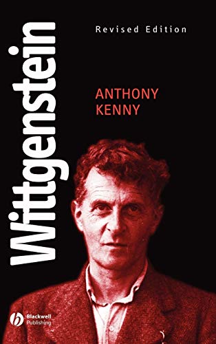 Wittgenstein view 2
