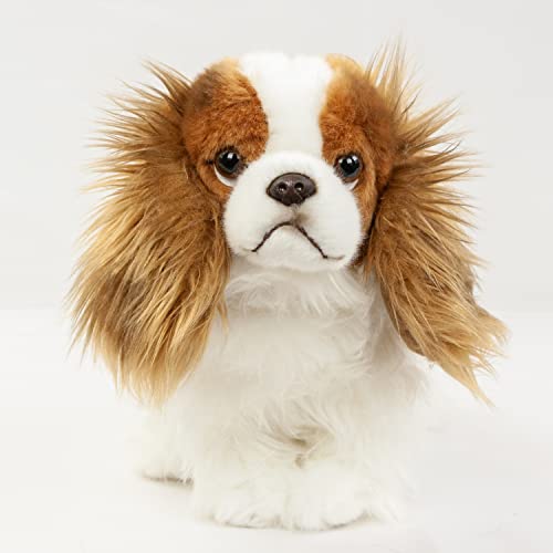 Teddys Rothenburg Plüschhund Cavalier King Charles Spaniel 25 cm Kuscheltier Hund