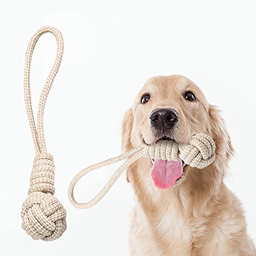 Hundespielzeug, Robustes Seil aus Baumwolle mit Knotenball zum kauen, Knotenspielzeug, Kauspielzeug Cover