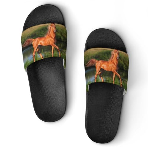 Claquettes femme cheval brun contre les sols glissants : pantoufles de bain de maison