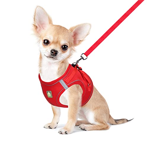 Image of FEimaX Dog Harness and Leash Set Puppy and Kitten Vest Reflective for Safe