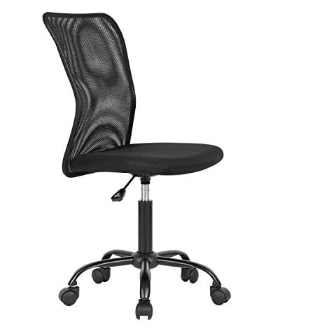 Office Chair Mesh Chair Ergonomic Computer Chair Cheap Chair No Arms Height Adjustable Swivel Chair with Lumbar Support for Office, Home, School (Black Cover