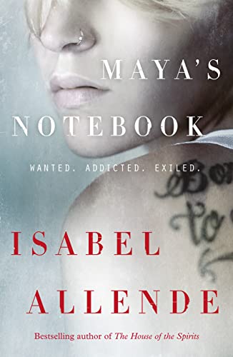 Maya's Notebook view 2