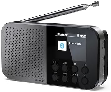 SHARP DR-P520(GY) Osaka Pocket Digital Radio, Dab+, Dab and FM wi...
