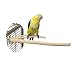 Birds LOVE Medium Bottlebrush Cage Perch
