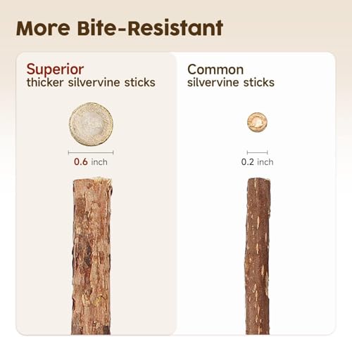 Redreo Cat Silvervine Chew Sticks, 3pcs Natural Cat Teeth Nip Cleaning Catnip Toys for Indoor Cats Kitten Teething and Stress - Image 6