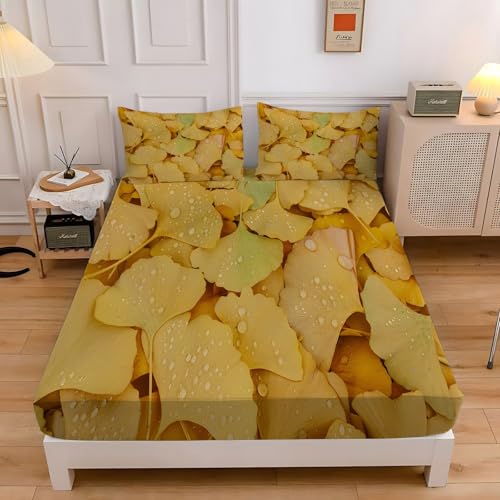 {bNXV[c X[VO C`E̗t 􂦂xbhJo[ 80x200x30cm RۖhL}bgXJo[ CG[ |bvȃX^C EȒPzcV[c _炩ʋC QZbgA2 43x63 cm