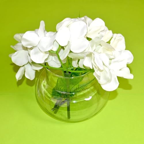Image of Lucky Bamboo Glass Pot 4 Inch Transparent Round Planter for Indoor Plant Decor