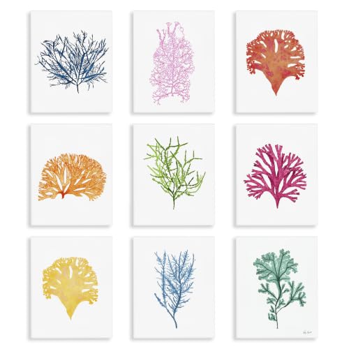 Stupell Industries 'Vibrant Various Coral Ocean Life'| 9pc Canvas Set