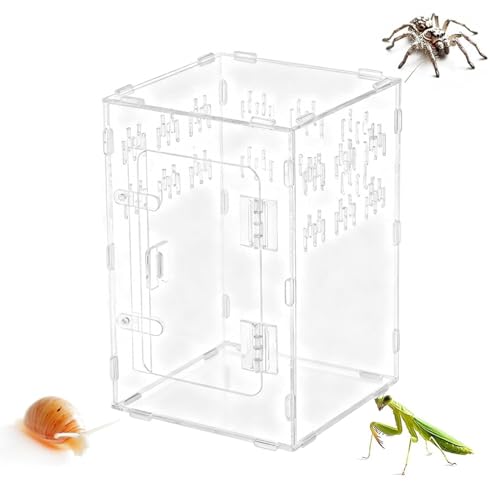 Veasbuu ^`P[W,AN {bNX,঒ P[W | AJAASqQgJQAwrANKAAhJA঒ޗp