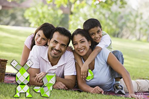 Oxe Fidget Toys Set-Stress Relief And Anti Anxiety Toys For Kids And Adults-Snake Cube Puzzle,16.5 Inch,2 Pieces (Green) #TOP6