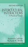Intercultural Interactions: A Practical Guide (Cross Cultural Research and Methodology)