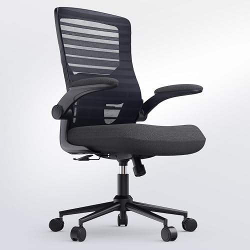 QLTPLUS Office Desk Chair for Long Hours & Lower Back Pain...