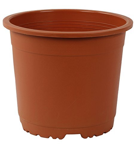 CAPPL 9 Inch (22 cm) Plastic Pot Round (Terracotta, 25 Pieces) (B09D7YD4F6) Amazon Price History, Amazon Price Tracker