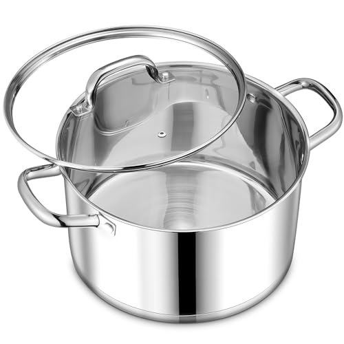 LIANYU Stainless Steel Stock Pot, 8 QT Large Soup Pot for Home Kitchen, Heavy Duty Cookware Compatible with Ceramic Gas Induction Cooktop, Dual Handles & Glass Lid, Dishwasher Safe