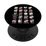 Educational Science Ideas