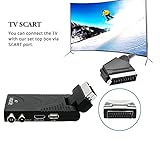 Italdos B08LMLMKZH lato 3