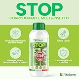 Fitokem B088QQXFBV lato 2