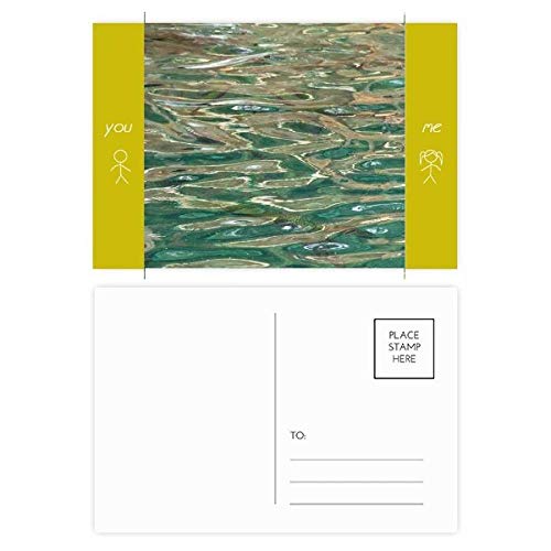 Poisson ami et vagues bleues : lot de cartes postales 5,7 x 3,8 pouces multicolores