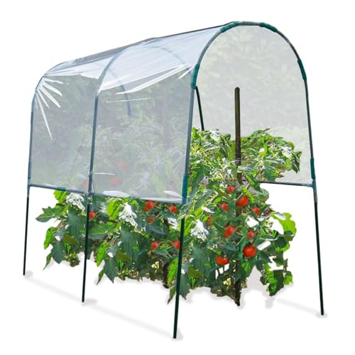 Probache - Serre à tomates 2 M