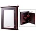 Tangkula Bathroom Cabinet with Mirror, Mirrored Wall-Mounted Storage Medicine Cabinet w/Single Door & Adjustable Shelf in 5 Positions, Multipurpose Wall Cabinet for Bathroom (Brown)