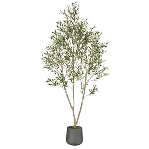Olive Trees Artificial Indoor, 7FT Tall Faux Olive Tree with Gray Tall Planter, Artificial Plants with Natural Wood Trunk and Lifelike Fruits for Home Office Decor Olive Trees Artificial Indoor 7FT Tall Faux Olive Tree with Gray Tall Planter Artificial Plants with Natural Wood Trunk and Lifelike Fruits for Home Office Decor