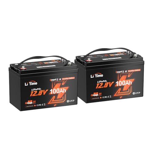 Litime 12V 100Ah Group 31 LiFePO4 Battery, Compatible with Victron System, 4000+ Deep Cycles Lithium Battery, Perfect for RV, Travel Trailer, Off-Grid Solar System - 2 Packs