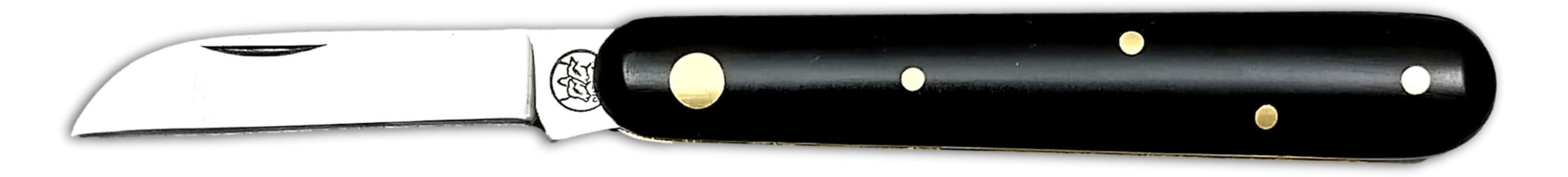 DUE BUOI 228 P Coltello da Innesto Professionale Alberi da Frutto e Giardinaggio Acciaio Carbonio Böhler K720, Manico in Plastica