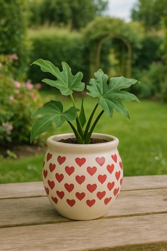 Image of Niyara Handcrafted Ceramic Flower Planter Pot | Decorative Indoor & Outdoor Pot | Multicolor Red Heart Print Design | Ideal for Home, Garden, Balcony, Office | Decor 6 Inch Heigh (Red Heart)