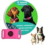 12 Monate Floh- Und Zeckenfrei Natürlicher Hunde Anhänger Ohne chemische Pestizide, pflanzlicher Schutzclip mit langsamer Duftfreigabe für alle Hunderassen (Pink,1 Stück)