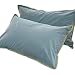 100% bawełniana poduszka Pure Cotton Adult Household Pillowcase Pojedyncza podwójna poduszka poduszka 48x74cm Para 2 (Color : Blue)