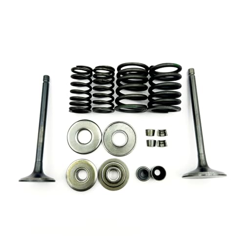 Kit de reconstrucción de válvulas para ATV 300B y FA-D300 2