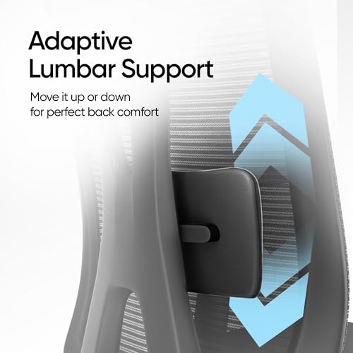 Image of Frido Aeromesh Classic Ergonomic Office Chair with Headrest | Breathable Mesh Backrest, Adjustable Lumbar Support & 2D Armrests | Comfortable Computer Chair for Home, Work & Long Sitting Hours | Black