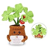 WenmthG Geschenke Für Frauen Gestrickte Vierblättriges Kleeblatt Deutsch Glücksbringer Anti Stress Kleines Geschenk für Schwester Freundin Kollegen Freunde Positive Kartoffel Deutsch Ersatz