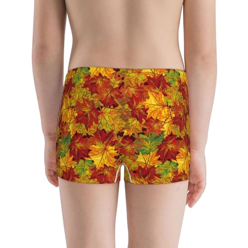 Boys' Cotton Boxer Brief Soft Underwear-Vintage Maple Leaf Autumn3