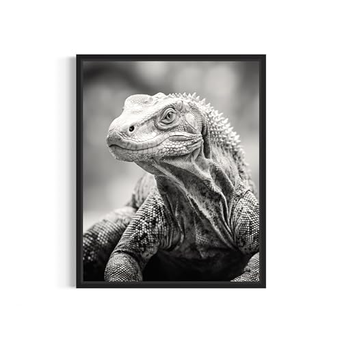Komodo Dragon Art Prints Posters, Black and White Photography Wall Art, Wildlife Safrai Jungle Nature Inspired Photos, Exotic Animal Wall Decor. (Komodo Dragon, 18x24 inches (Unframed))