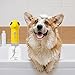 Fresh Dog Shampoo | 9.84 ICHES Best Bräutigam Shampoos | Bester Welpen Shampo | Elektrischer Schaum Shampo -Spender | Welpen & stinkendes Haustier, das mit Hundeshampoo entwirft und befeuert Wird