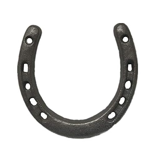 Cast Iron Horseshoe Wall Decor, Medium Horseshoe Durable Cast Iron 5 Holes On Each Side for Indoor Or Outdoor