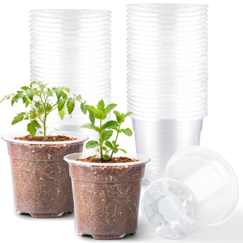 RooTrimmer 60 Pack 6 Inch Clear Nursery Pots for Plants Flexible Plastic Plant Pots with Drainage Holes Transparent Plant Starter Pots for Seedlings Vegetable Succulents Flowers