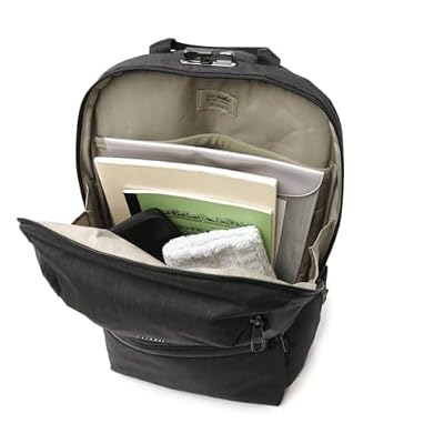 Pacsafe Metrosafe X Anti Theft 20L Backpack - with Padded 15 Laptop Sleeve, Black