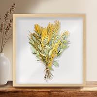 インテリア　額　額装　店舗品　ディスプレー備品にも Amazon.co.jp: 互陽 BOX 30x30cm 白 正方形 ましかく 壁掛け