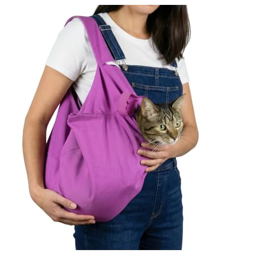 Cat-in-the-Bag Cozy Comfort Carrier