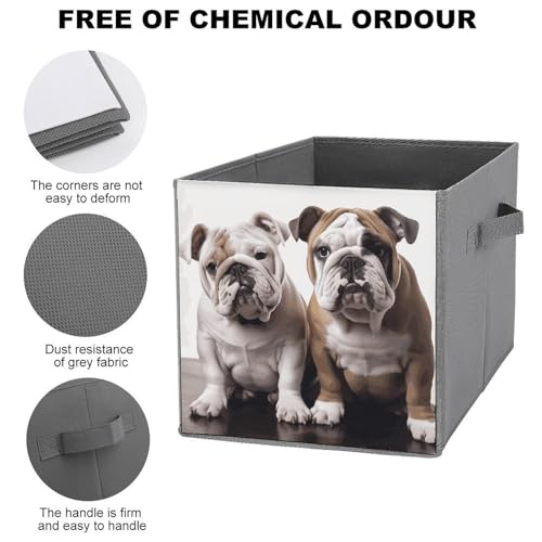 Grand bac de rangement bouledogue pliant avec jolis imprimes chiens - 4