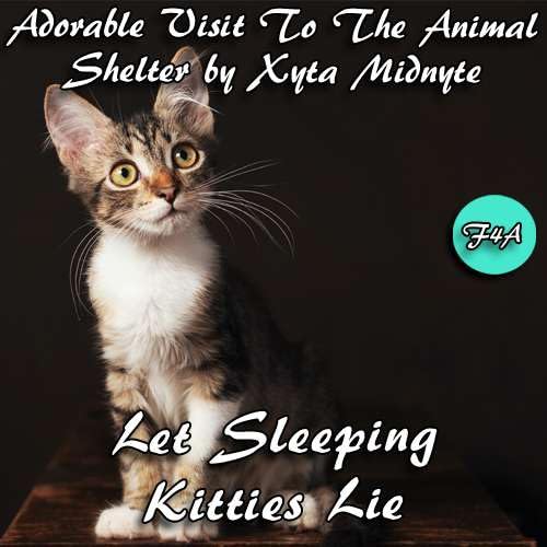 #30 &ndash; Let Sleeping Kitties Lie