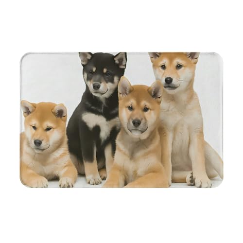 Č 3 􂦂銊~ߕtO~ RۖhLtlO 40x60cm