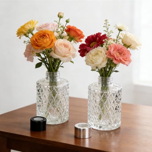 Set de 8 difusores de varillas vacíos de vidrio 150ml miniatura 6