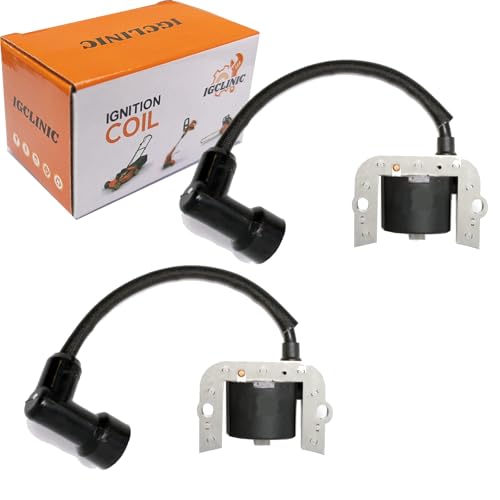 IGCLINIC 2pcs Ignition Coil Module