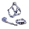 Dog Harness Collar Leash Set – No Pull ...