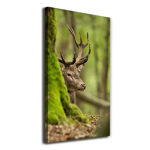 Image sur toile cerf vert 60x120 cm | Décoration nature salon et chambre